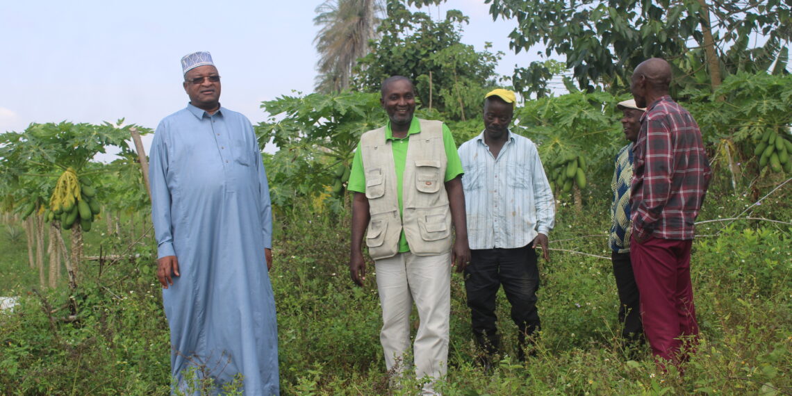 AGRICULTURE : LE PRÉSIDENT DE LA FOMASYL DANS SON CHAMP À à KONDEYA KINDIA