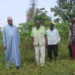 AGRICULTURE : LE PRÉSIDENT DE LA FOMASYL DANS SON CHAMP À à KONDEYA KINDIA